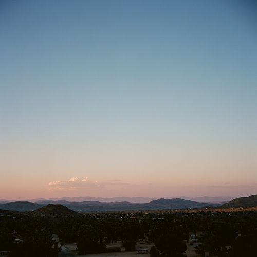 Joshua Tree