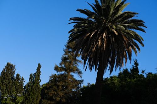 Los Angeles