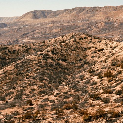 San Bernardino National Forest